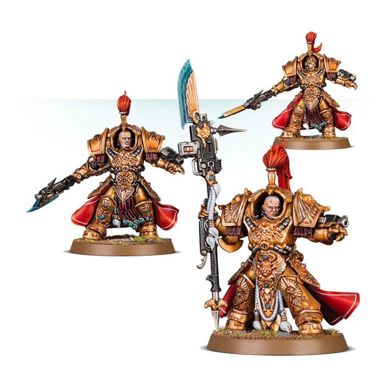 Shield Captain in Allarus Terminator Armour